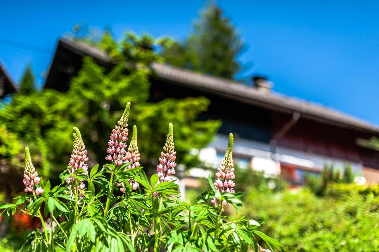 House Moose'T Getaway, Kranjska Gora Βίλα Εξωτερικό φωτογραφία