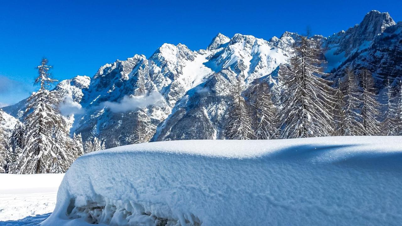 House Moose'T Getaway, Kranjska Gora Βίλα Εξωτερικό φωτογραφία
