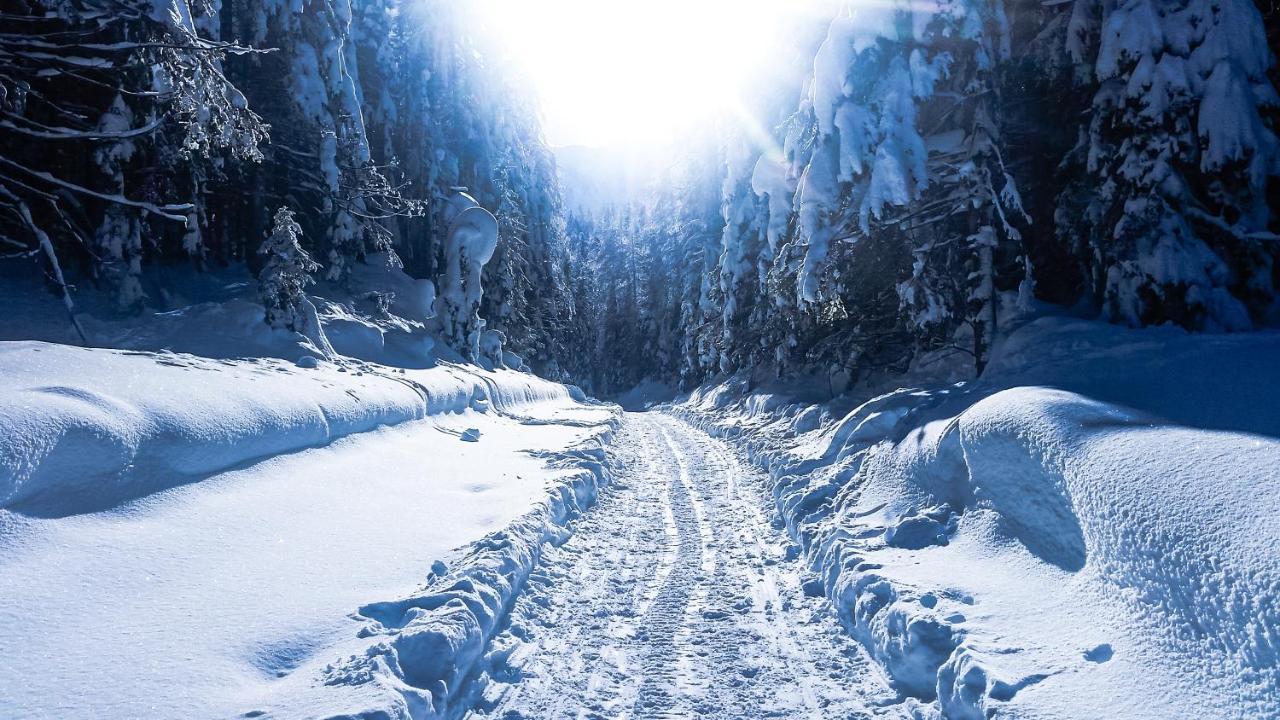 House Moose'T Getaway, Kranjska Gora Βίλα Εξωτερικό φωτογραφία