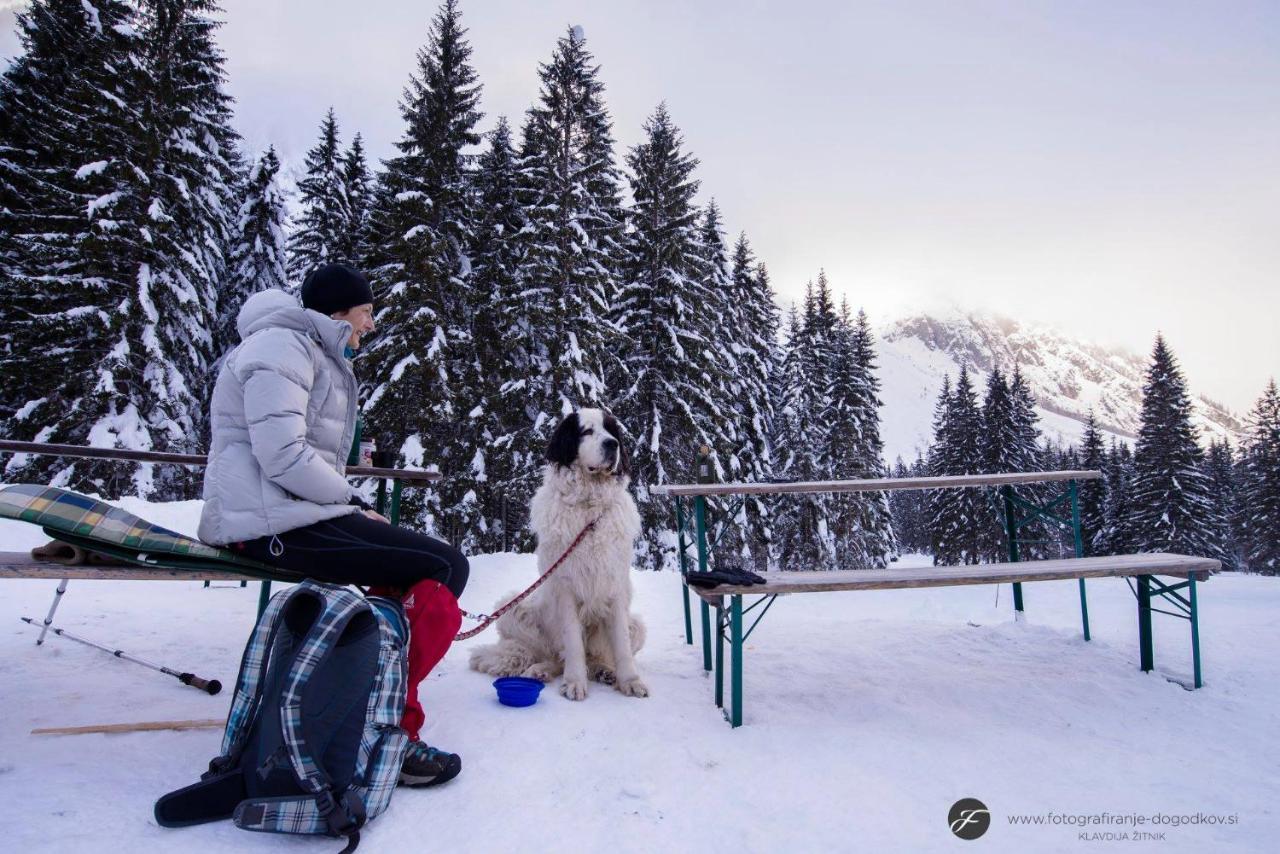 House Moose'T Getaway, Kranjska Gora Βίλα Εξωτερικό φωτογραφία