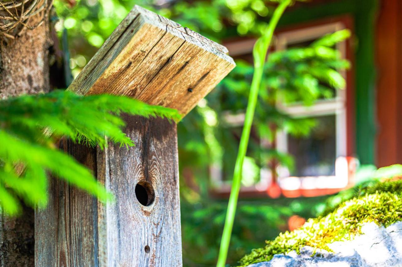 House Moose'T Getaway, Kranjska Gora Βίλα Εξωτερικό φωτογραφία